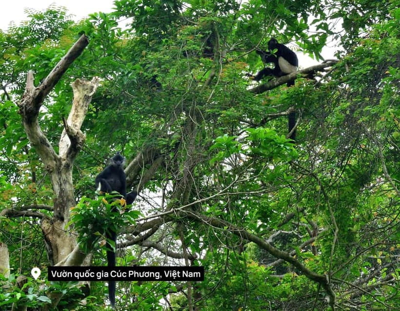 Hanoi: 2-Day Ninh Binh Excursion & Cuc Phuong Park Wildlife - Bai Dinh Pagoda and its oversized scale