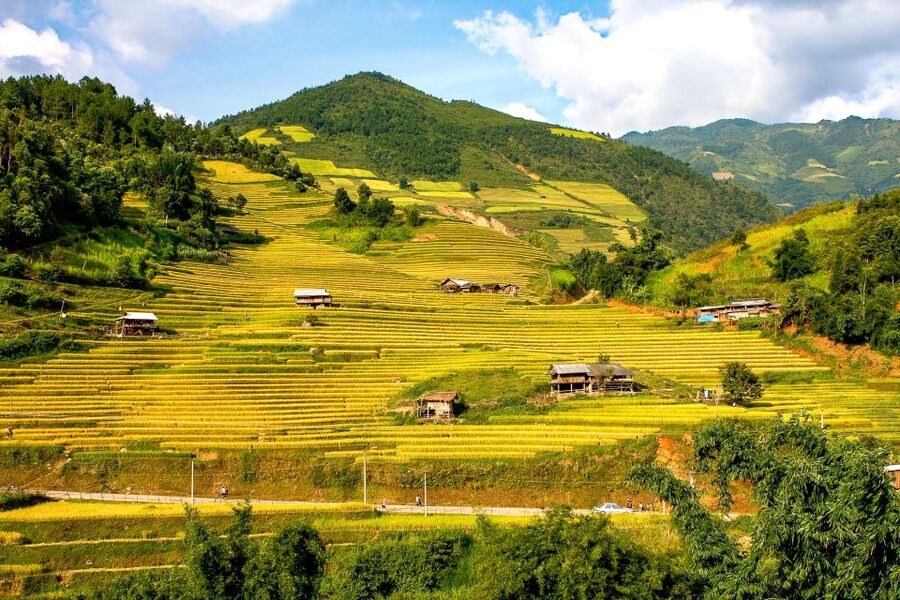 Hanoi: 3-Day Sapa Trek with Homestay - Who will enjoy this Sapa trip?