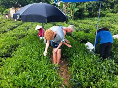 3-Day Tour to Ban Gioc Waterfall and Ba Be Lake