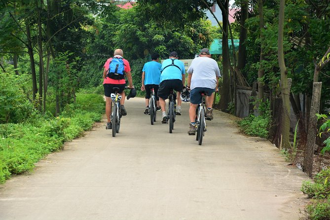 Hanoi Bicycle Tours: Half Day Bicycle Tours Hanoi Countryside - Co Loa Citadel and the rural edge of Hanoi