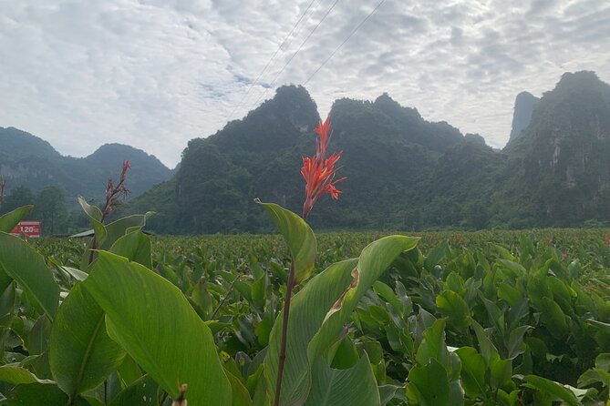 Hanoi - Cao Bang city - Ban Gioc Warterfall 2days/2nights ED7 - The Return to Hanoi and the Real Pace of the Trip