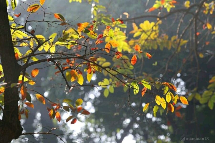 Hanoi: City Highlights Tour with Transfer and Lunch - Tran Quoc Pagoda Beside West Lake