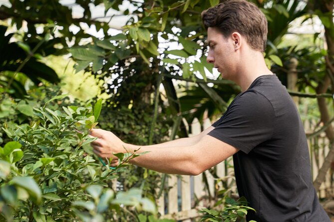 Hanoi Cooking Class in a Haven of Tranquility - Thom culinary - My booking advice