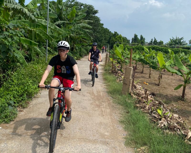 Hanoi Countryside Bicycle Tour - Rice fields and Vietnamese agriculture