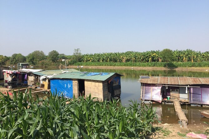 Hanoi Countryside in Banana Island - Top Tours & Activities - Cycling through the banana forest