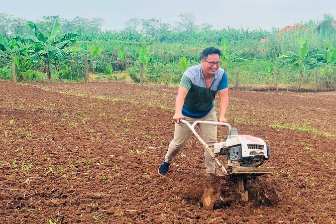 Hanoi Countryside in Banana Island - Top Tours & Activities - Who should book this cycling tour