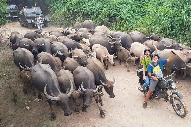 Hanoi Countryside Motorbike Tour: Red River Culture & Daily Life - A Vintage Minsk Ride Out of Central Hanoi
