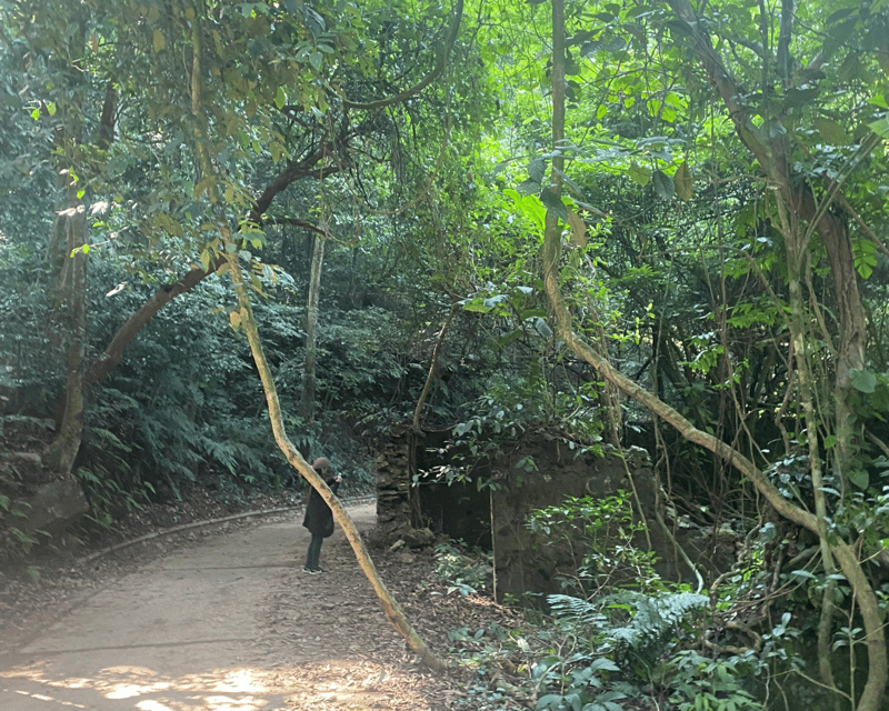 Hanoi Eco Tour: Ba Vi National Park Wonders & Tea Plantation - Lunch in the park, with mountain flavors