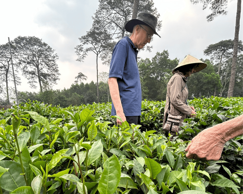 Hanoi Eco Tour: Ba Vi National Park Wonders & Tea Plantation - Climbing to Đền Thượng above the clouds