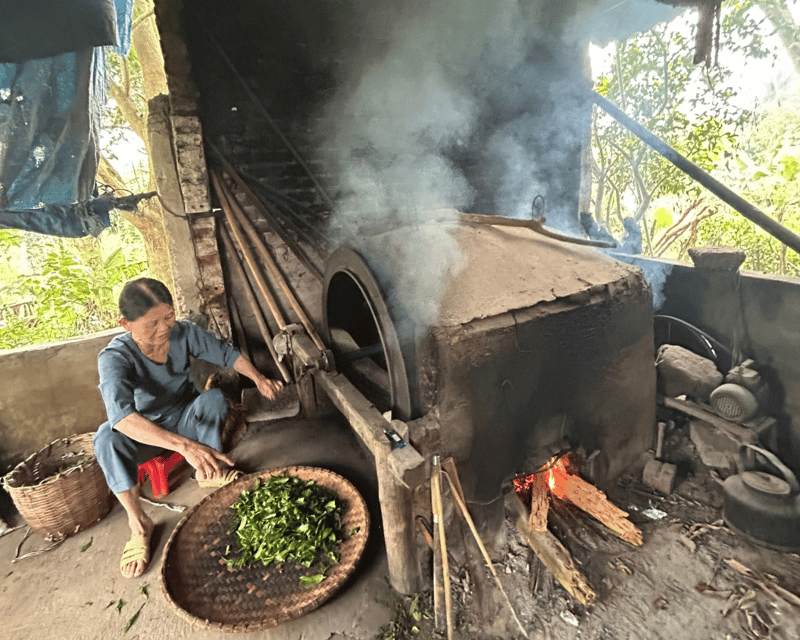 Hanoi Eco Tour: Ba Vi National Park Wonders & Tea Plantation - What the guide and group arrangement mean