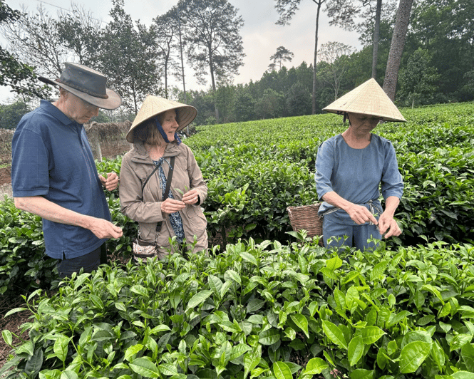 Hanoi Eco Tour: Ba Vi National Park Wonders & Tea Plantation - Who will get the most from this day