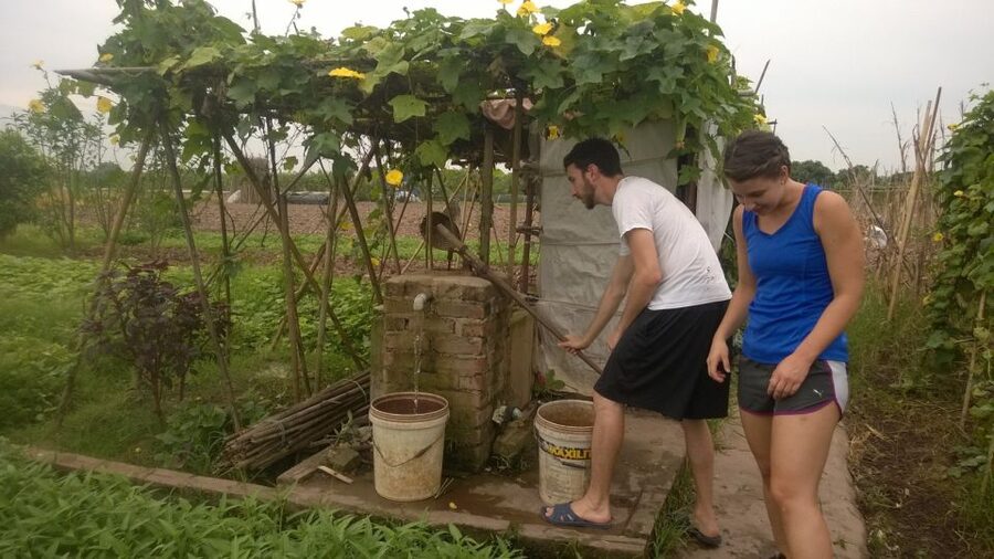 Hanoi Farm Tour and Cooking Class with Local Family - My verdict: book it for food and local contact
