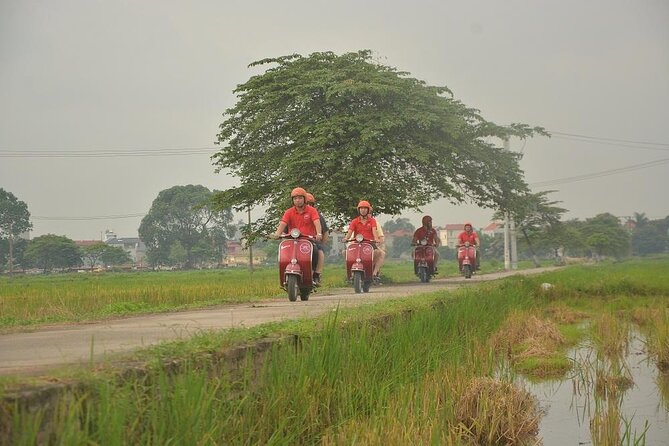 Hanoi Food Tours: Hanoi Foodie Scooter Tour Led By Women - Practical details that can shape your evening