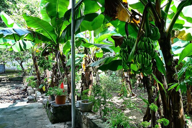 Hanoi Full Day A Private Tour With Mix of History and Activities - Vietnamese lunch before the afternoon activities
