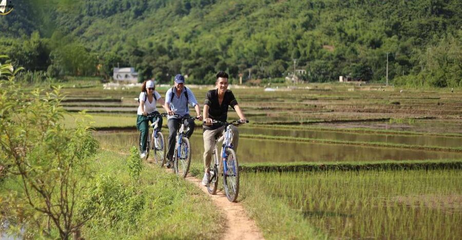 Hanoi: Full Day Guided Tour of Hoa Lu, Tam Coc, and Mua Cave - Lunch with a Vietnamese buffet