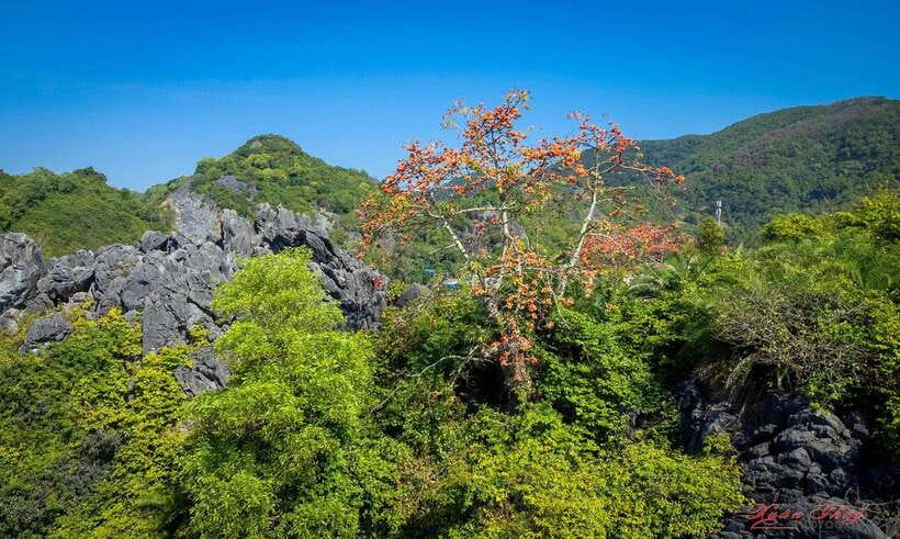Hanoi: Ha Long Bay & CatBa Island 3-Day with Boutique Cruise - Day 2: Sáng Tối Cave and the move to Cat Ba
