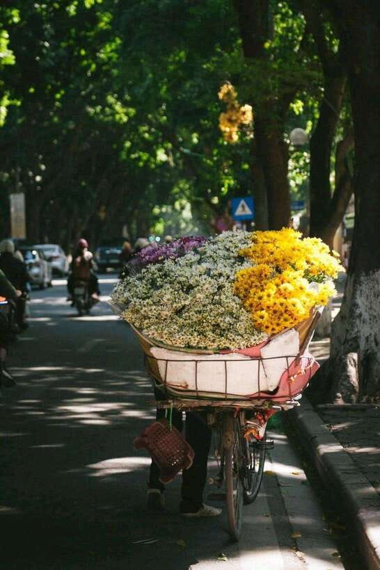 Hanoi: Half-day Private City Tour - The Temple of Literature’s Quiet Courtyards