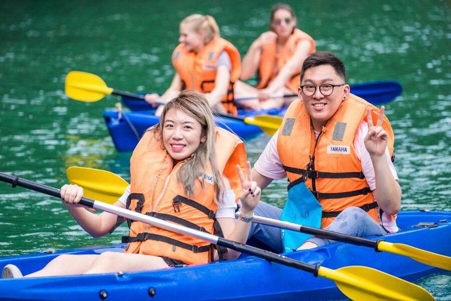 Hanoi: Halong Bay Day Trip with Titop Island, Cave, & Kayak - The main drawbacks to consider