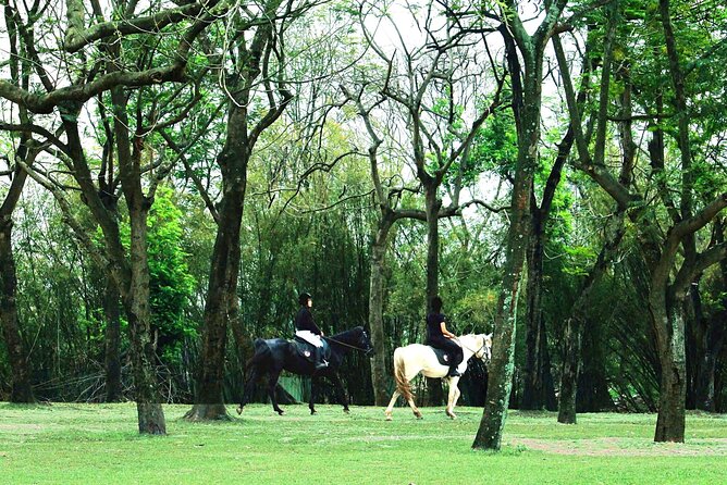 Hanoi Horseback Riding Club & Tours - Exclusive Experience - Key points at a glance
