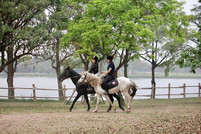 Hanoi Horseback Riding Club & Tours - Exclusive Experience - Starting with the 15-minute horse introduction