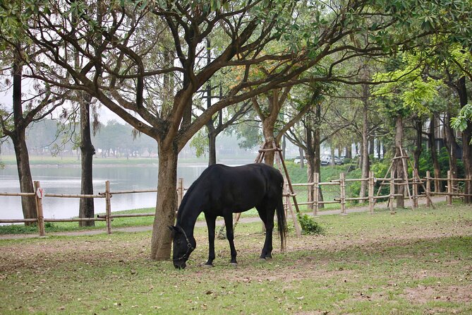 Hanoi Horseback Riding Club & Tours - Exclusive Experience - Following the 2,000-meter Beginner’s Trail