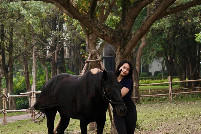 Hanoi Horseback Riding Club & Tours - Exclusive Experience - A 15-minute break with optional go-karts