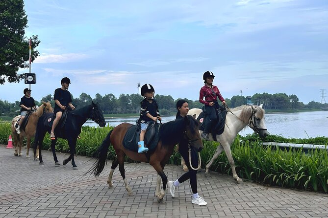 Hanoi Horseback Riding Club & Tours - Exclusive Experience - Learning posture and control in 20 minutes