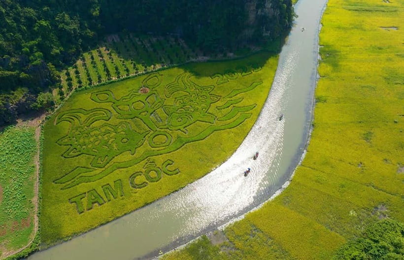 Hanoi: Incense Village, Ninh Binh Hoa Lu, Trang An, Mua Cave - From Hanoi to Quang Phu Cau’s Incense Yards