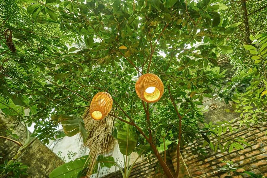 Hanoi: Rose Kitchen: Pho/Bun Cha/Nem+ Free Egg/ Salt Coffee - Key points to know before booking