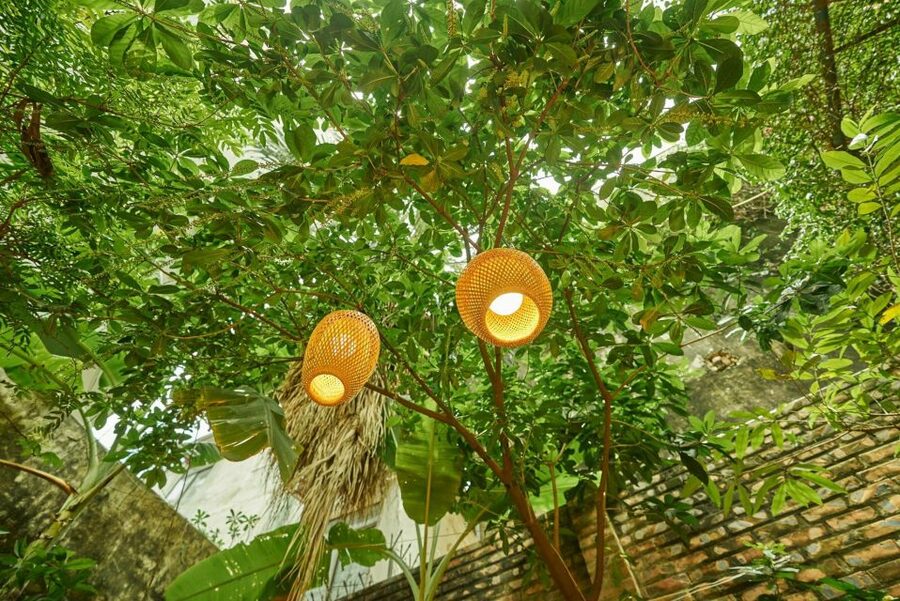 Hanoi’s Culinary: Authentic Cooking Class and Local Market - A Hanoi food lesson that starts at the market