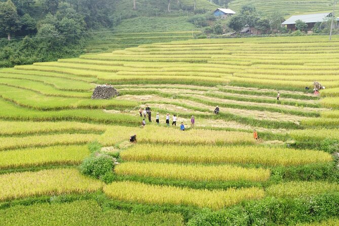Hanoi - Sapa 2 Days 1 Night Overnight At Local Homestay - The second morning: Giang Ta Chai and Su Pan