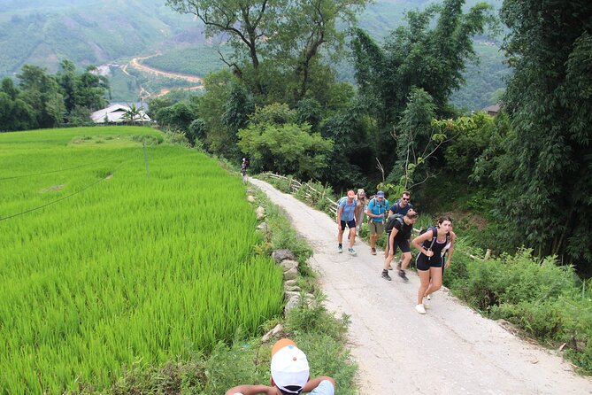 Hanoi - Sapa 2 Days 1 Night Overnight At Local Homestay - Y Linh Ho and Lao Chai: terraces and village life