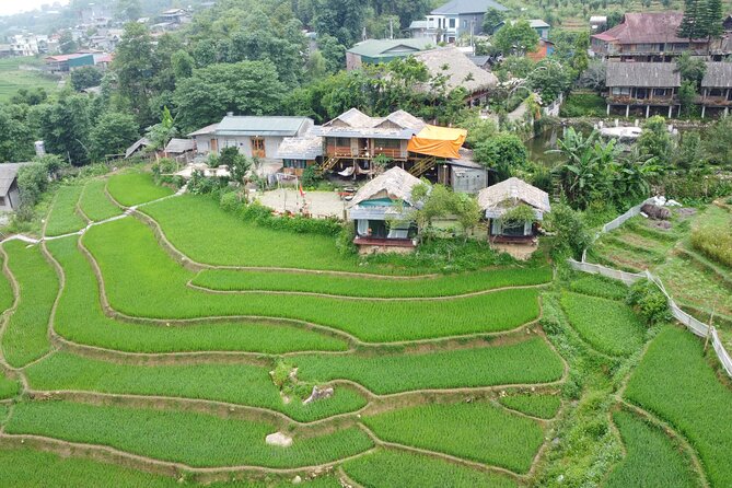 Hanoi - Sapa 3 Day 2 Night Trekking With Hotel & Homestay - Giang Ta Chai and Su Pan finish the walking program