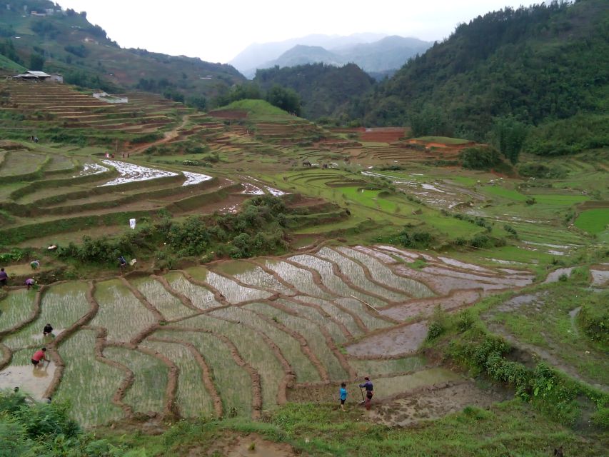 Hanoi- SaPa: 3-Day Homestay Trek to Explore Ethnic cultures - Day 2: Bamboo forest, Rattan Bridge, and Ban Ho