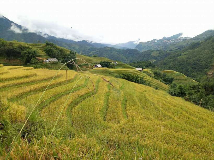 Hanoi- SaPa: 3-Day Homestay Trek to Explore Ethnic cultures - The guide can shape the whole experience