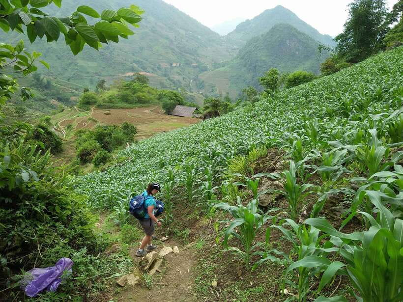 Hanoi- SaPa: 3-Day Homestay Trek to Explore Ethnic cultures - What $139 includes, and what it does not