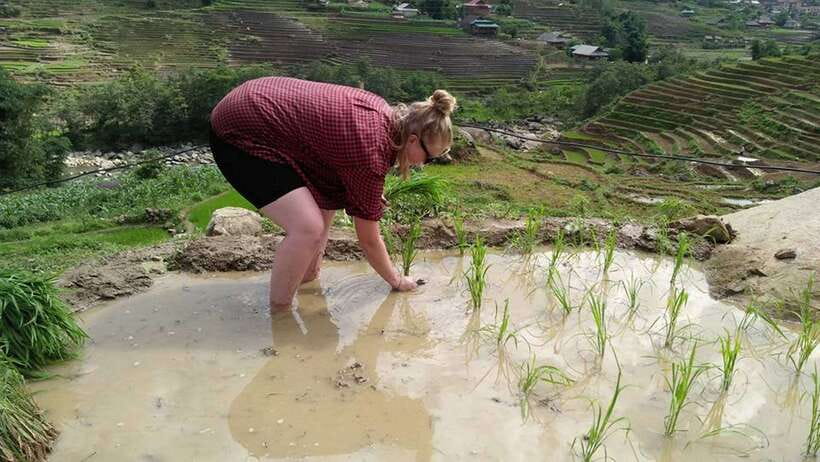 Hanoi- SaPa: 3-Day Homestay Trek to Explore Ethnic cultures - Leaving Hanoi for Sapa at 8:45 PM