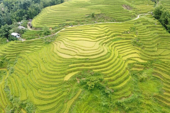 Hanoi - Sapa 3 Days - 2 Nights Trekking with With the locals - The five-hour ride from Hanoi to Sapa