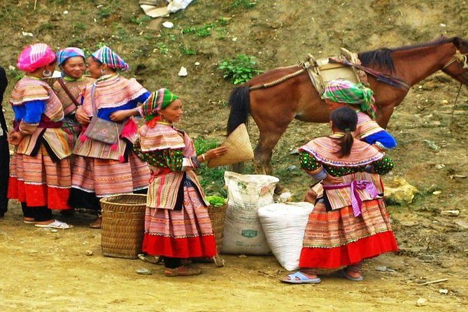 Hanoi-Sapa Trek 2 days 2 nights and Homestay with small group - Who should book this tour