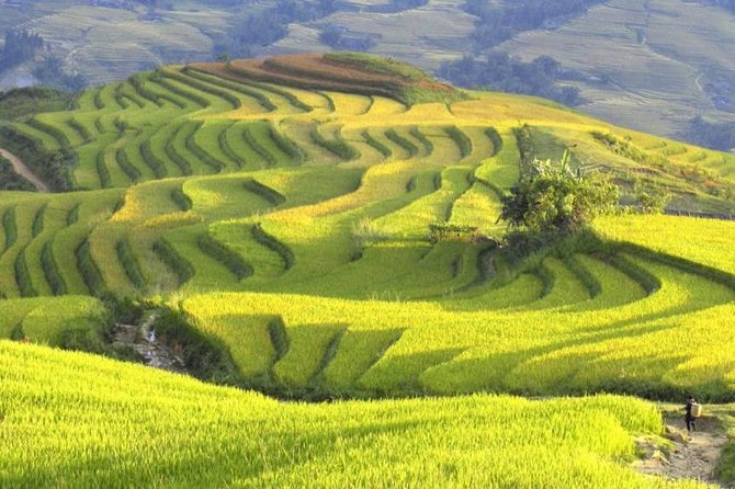 Hanoi-Sapa Trek 2 days 2 nights and Homestay with small group - The trip from Hanoi to the mountains