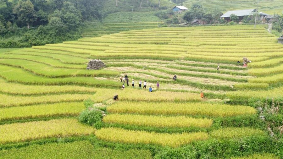 Hanoi to Sapa: Terraced Fields, Culture & Cuisine – 3 Days - Practical advice before you go