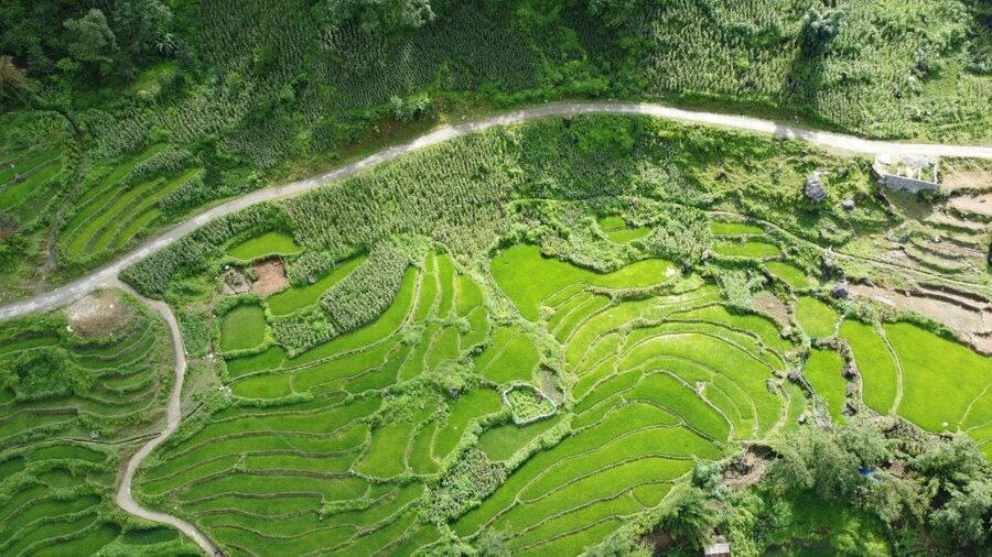 Hanoi to Sapa: Terraced Fields, Culture & Cuisine – 3 Days - What this three-day Sapa trip is really about