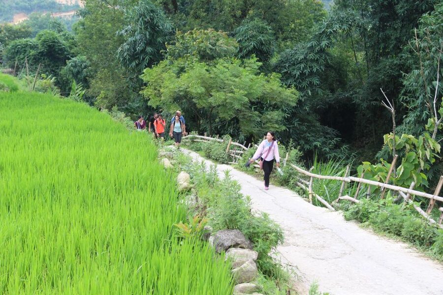 Hanoi to Sapa: Terraced Fields, Culture & Cuisine – 3 Days - The long walk from Y Linh Ho to Ta Van