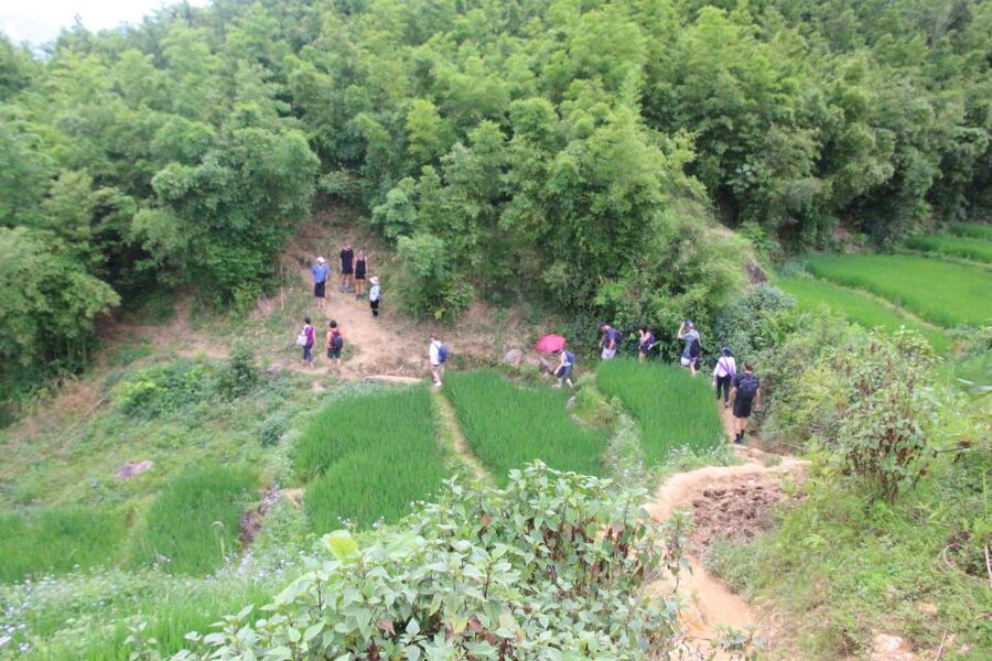 Hanoi to Sapa: Terraced Fields, Culture & Cuisine – 3 Days - Food, guiding, and the value of local contact