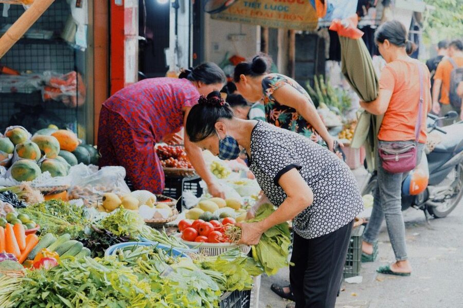 Hanoi: Vegan Street Food & Stories - What makes the guides important
