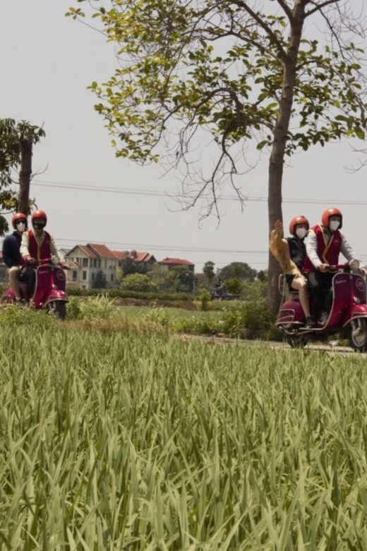 Hanoi Vintage Vespa Tours: A Half-Day Countryside Adventure - Learning the Art of Bonsai at a Family Home