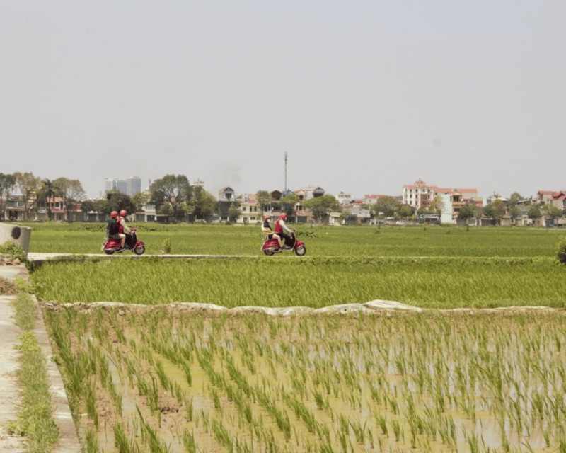 Hanoi Vintage Vespa Tours: A Half-Day Countryside Adventure - Tropical Fruit, Sugarcane Juice, and the Local Wet Market