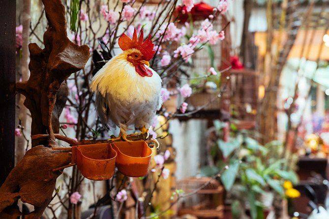 Highlights & Hidden Gems With Locals: Best of Hanoi Private Tour - Dong Xuan Market: start with Hanoi’s daily rhythm