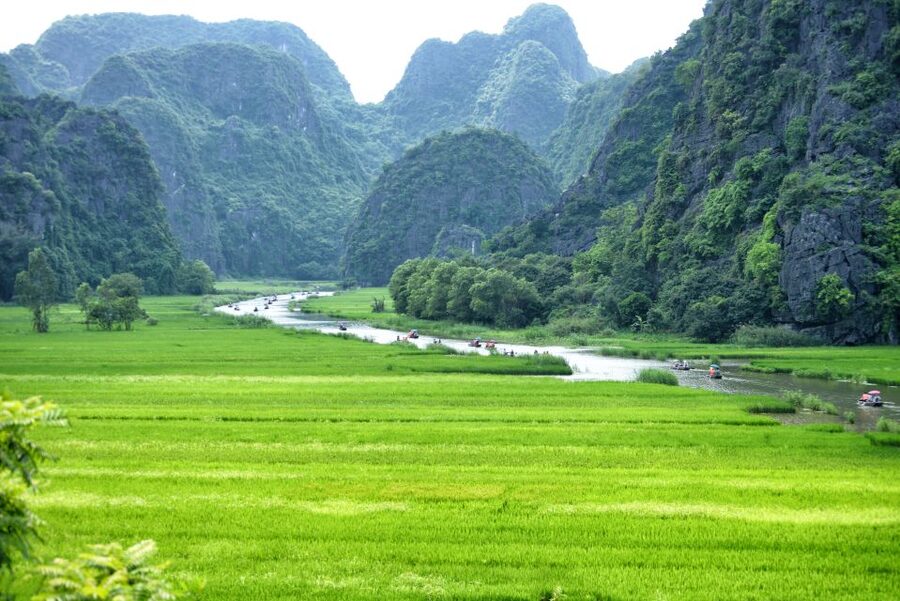 Hoa Lu-Mua Cave-Tam Coc-Bich Dong-Thung Nham National Park - Key points to know before booking