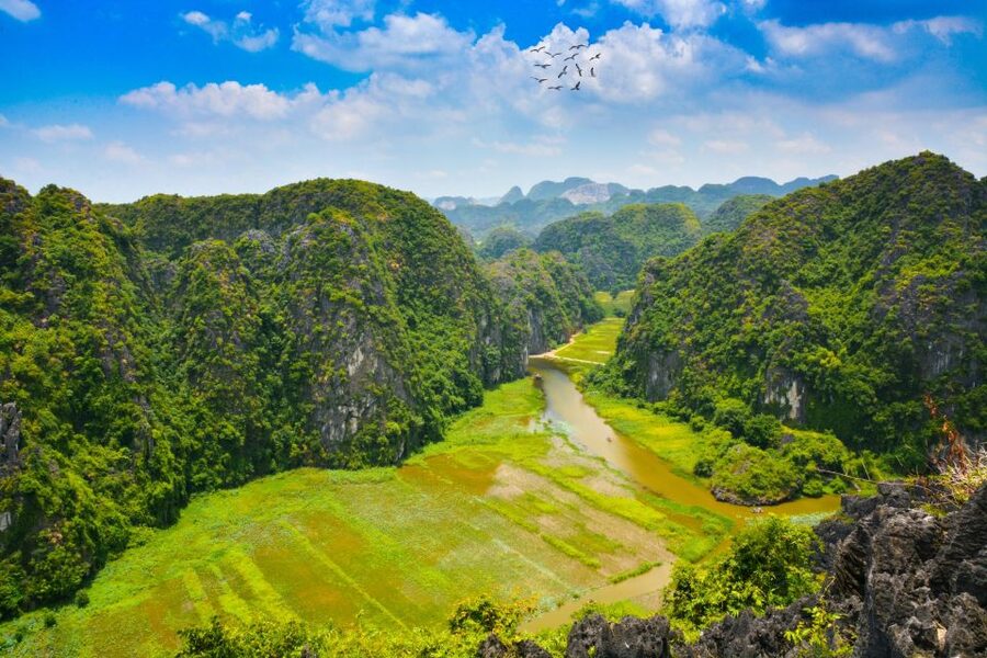 Hoa Lu-Mua Cave-Tam Coc-Bich Dong-Thung Nham National Park - Thung Nham National Park, caves, and the bird park